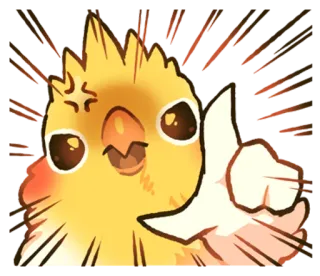 😡 cockatiel, oiseau, pouce levé, positif, animal, mignon, kawaii whatsapp sticker