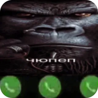 🫥 King Kong ЧЮПЕП king kong, gorilla, ape, incoming call, meme, phone call, funny telegram sticker