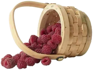 🧺 cesto, lamponi, frutta, bacche, cibo, salutare, raccolta telegram sticker