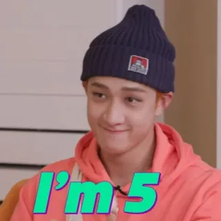 🤏 I'm 5 osoba, kapelusz, bluza z kapturem, tekst, humor, wiek telegram sticker