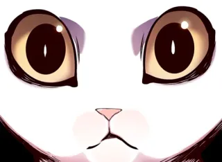 🐈 gato, animal, ojos, cara, lindo, mascota telegram sticker