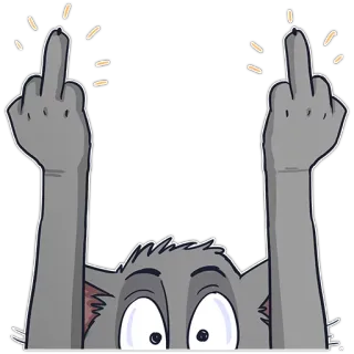 🖕 cat, middle finger, offensive, rude, animal, gesture whatsapp sticker