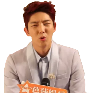 😱 世沐娱乐 person, portrait, microphone, asian, korean telegram sticker