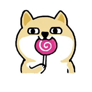🍭 狗, 柴犬, 棒棒糖, 糖果, 可爱, 动物, 贴纸 whatsapp sticker