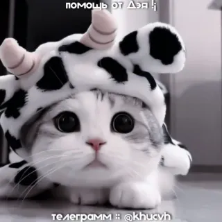 ♻️ ПОМОЩЬ ОТ ДЭЯ !; телеграмм :: @khucvh gato, gatito, vaca, animales, lindo telegram sticker