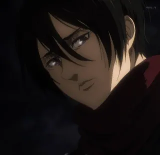🤨 Mikasa Ackerman Attack on Titan Anime, Manga, Mikasa, L'Attaque des Titans, Personnage, Portrait telegram sticker