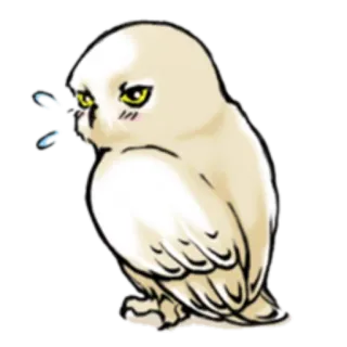 👀 owl, bird, animal, cartoon, cute, sticker telegram sticker