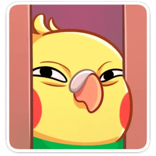👀 นก, ค็อกกาเทล, สีเหลือง, สัตว์, น่ารัก, การ์ตูน telegram sticker