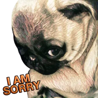 😒 I AM SORRY 퍼그, 강아지, 강아지, 미안, 사과, 귀여운 telegram sticker