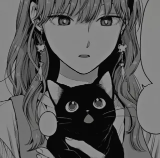 🧧 漫画, 动漫, 女人, 猫, 黑猫, 女孩, 卡通, 插画 telegram sticker