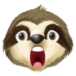 😲 bicho-preguiça, animal, fofo, surpreso, desenho animado, emoji, engraçado whatsapp sticker