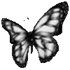 🦋