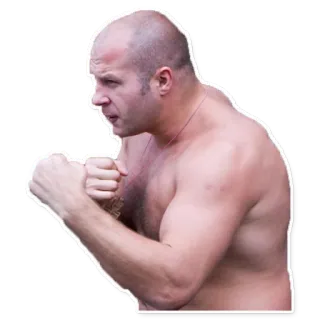 🐧 Fedor Emelianenko fighter, mma, russian, athlete, combat, sports telegram sticker