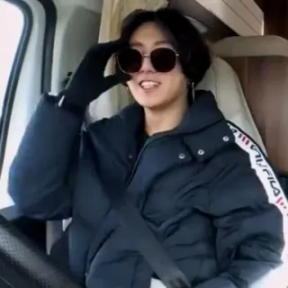 🧷 persona, gafas de sol, chaqueta, interior, sentado, vehículo telegram sticker