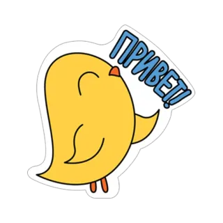 🐤 ПРИВЕТ! bird, greeting, yellow, cute, hello whatsapp sticker