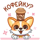 🥺 КОФЕЙКУ? corgi, cane, caffè, bevanda, carino, kawaii, russo telegram sticker