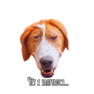 🤔 Чёт я запутался... dog, animal, confused, russian, meme telegram sticker