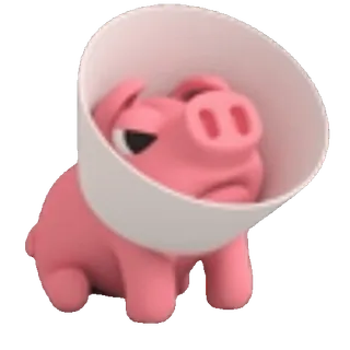 🤕 돼지, 콘, 동물, 슬픈, 아픈, 다친, 애완 동물 whatsapp sticker