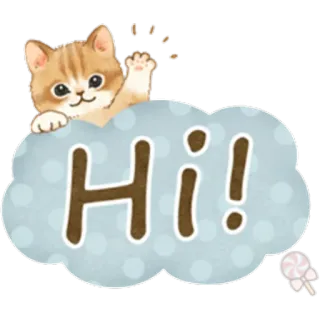 🐱 Hi! gato, lindo, hola, saludo, pegatina, caramelo whatsapp sticker