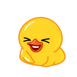 😂