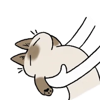 🤗 chat, animal, animal de compagnie, mignon, étrangler, strangulation whatsapp sticker