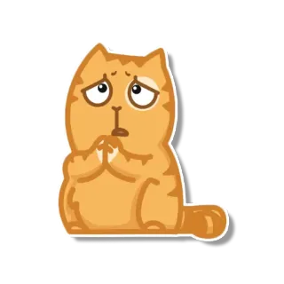 🙏 gato, triste, lindo, mascota, animal, rogando telegram sticker