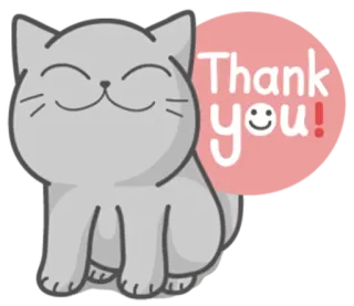 🙏 Thank you! kat, dankjewel, leuk, sticker, groet, vriendelijk telegram sticker