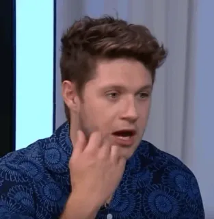 🎸 Niall Horan Niall Horan, Celebridade, Cantor, One Direction, Retrato telegram sticker