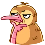 🤔 Kiwi (ave), Pensando, Questionando, Pássaro, Desenho animado, Adesivo telegram sticker