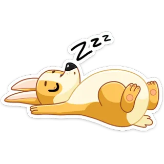 😴 Zzz chien, corgi, dormir, zzz, dessin animé, animal, mignon whatsapp sticker