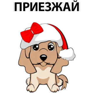 😃 ПРИЕЗЖАЙ dog, santa hat, christmas, winter, greeting, cartoon telegram sticker