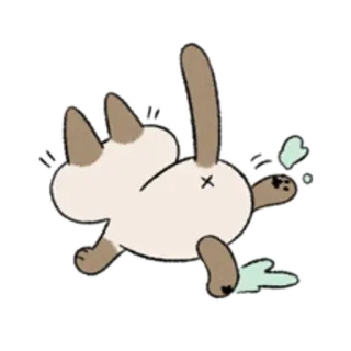 😺 gato, pum, engraçado, animal, fofo telegram sticker