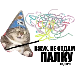 ✨ kat, tovenaar, dier, magie, huisdier telegram sticker