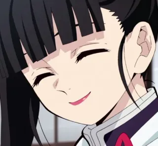 🌸 Kanao Tsuyuri Demon Slayer anime, kanao, demonslayer, tsuyuri, girl, smiling, cute telegram sticker