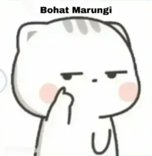 😡 Bohat Marungi dessin animé, chat, doigt d'honneur, offensant, geste whatsapp sticker
