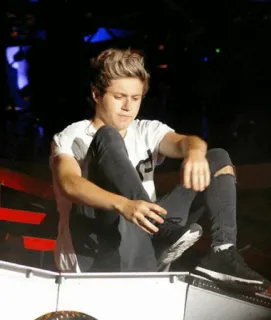🥀 Niall Horan singer, one direction, niall horan, celebrity, pop star, performer, male, teen idol telegram sticker