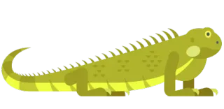 😊 игуана, ящерица, рептилия, животное, природа telegram sticker