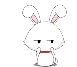 😐 lapin, mignon, animal, dessin animé, autocollant, sticker whatsapp sticker