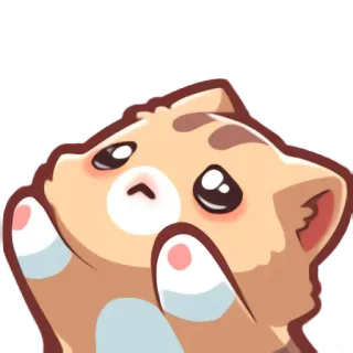 🥺 แมว, น่ารัก, สัตว์, คาวาอิ, ขอ telegram sticker