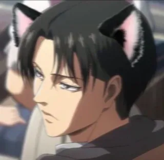 🥀 Levi Ackerman Attack on Titan Anime, Katzenohren, Levi, Attack on Titan, AOT, Cartoon, Manga telegram sticker