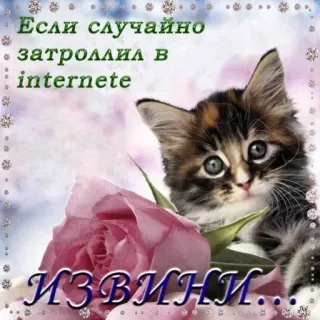 😥 Если случайно затроллил в internete
ИЗВИНИ... chat, chaton, excuse, désolé, troll, internet, rose telegram sticker