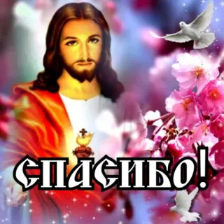 ☦️ Jesus СПАСИБО! Jesus, Christianity, religious, dove, thank you, gratitude telegram sticker