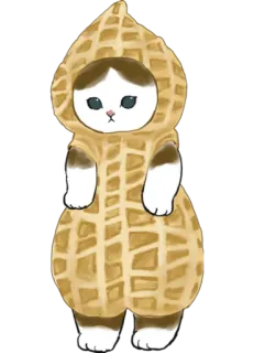 🥜 cat, peanut, animal, cute, costume telegram sticker