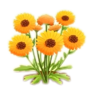 🍰 bloem, oranje, geel, bloemen, natuur, plant, boeket telegram sticker