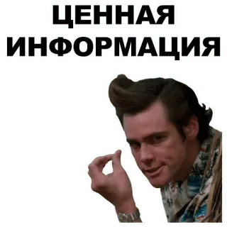 🤑 Ace Ventura Ace Ventura: Pet Detective ЦЕННАЯ ИНФОРМАЦИЯ jim carrey, ace ventura, valuable information, reaction, meme, funny, movie, cinema whatsapp sticker