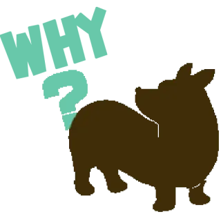 🥴 dog, animal, silhouette, pet, cute telegram sticker