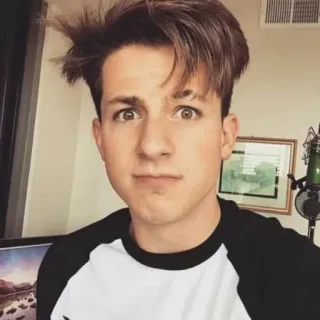 ✨ Charlie Puth Porträt, Promi, Musiker, Sänger, Charlie Puth, Person, Mann whatsapp sticker