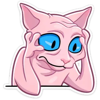😧 Katze, Sphynx Katze, Tier, Meme, Sticker, blaue Augen telegram sticker