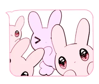 👀 coelho, fofo, kawaii, animais, coelhos telegram sticker
