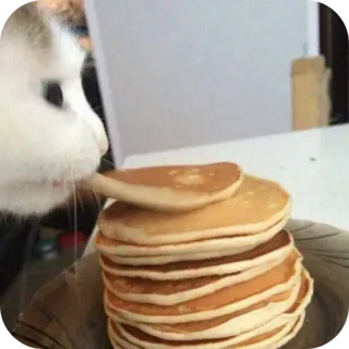 🥞 telegram sticker